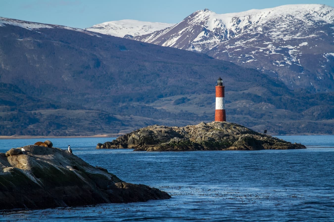 Antarctica, South Georgia, and the Falklands