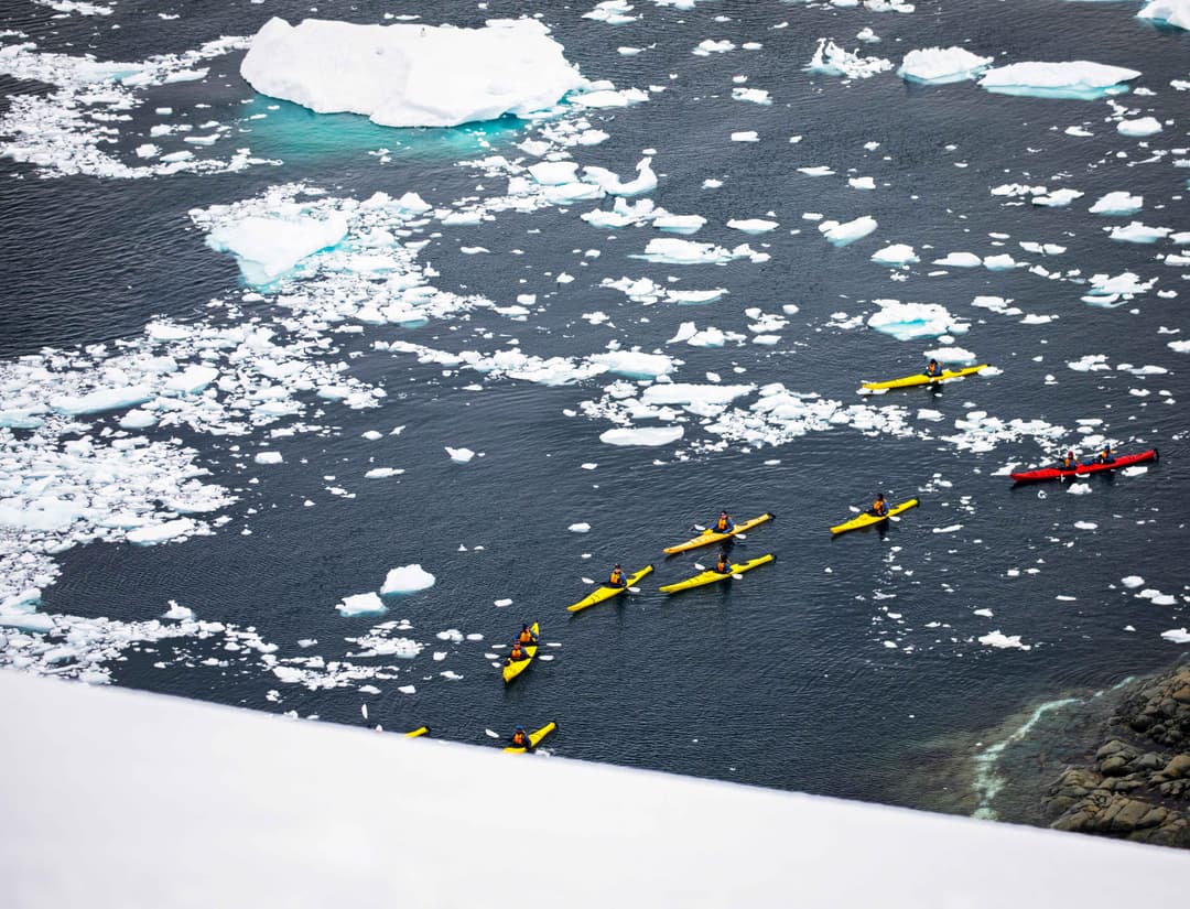Quark Expeditions Sea Kayaking Kayakers Paradise Harbour Acaciajohnson