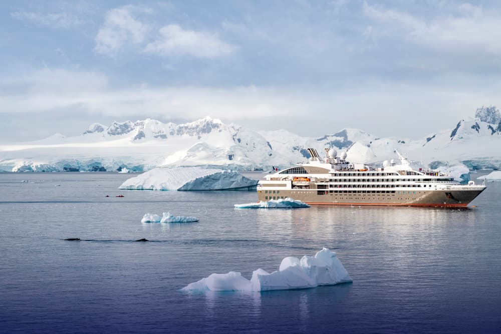 Emblematic Antarctica