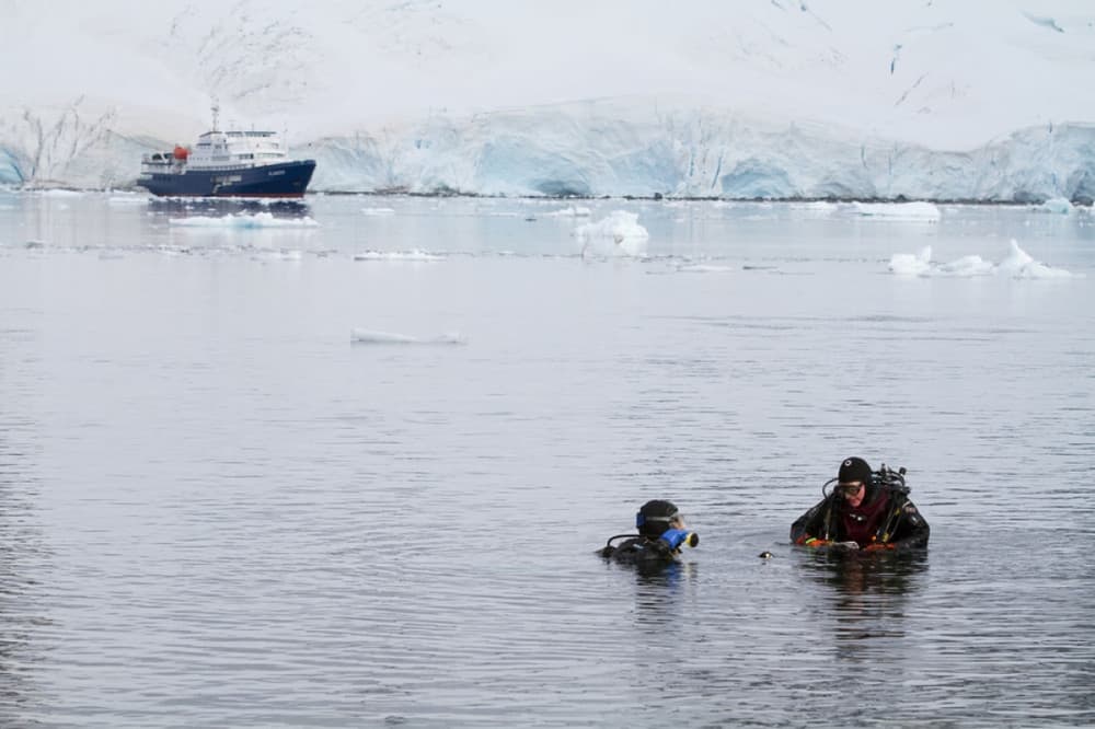 Oceanwide Expeditions Polar Diving.jpeg