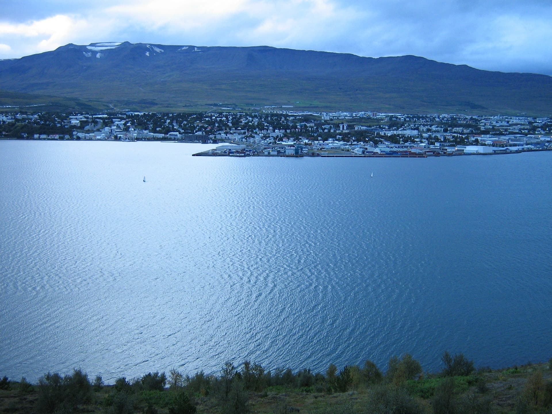 Icelandic mosaic