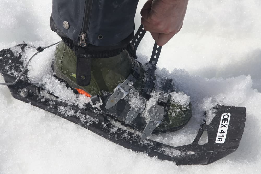 Oceanwide Expeditions Snowshoeing_Joerg Ehrlich.jpeg
