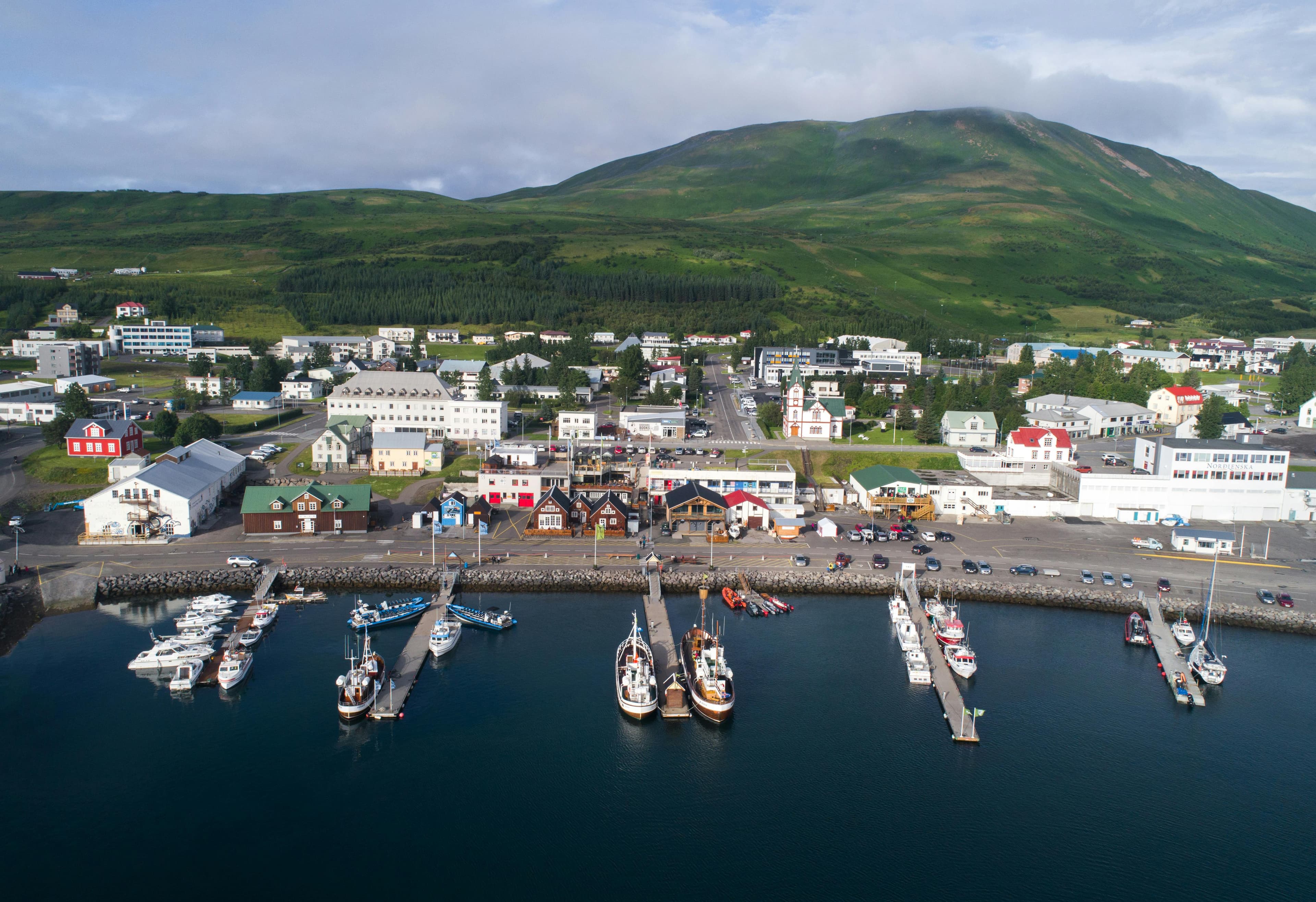 From Svalbard to Iceland: A Polar Odyssey