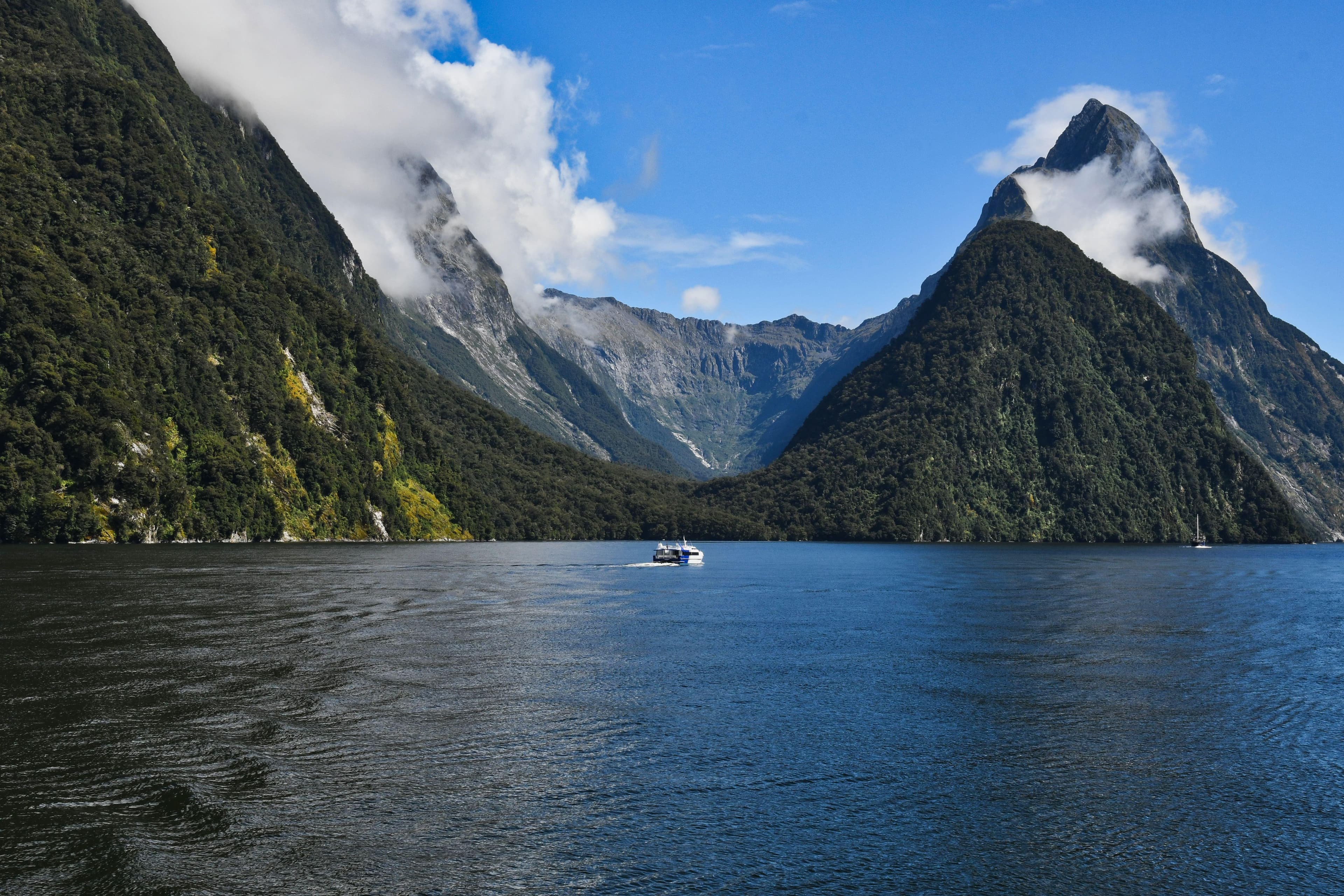 Expedition to New Zealand’s Subantarctic Islands