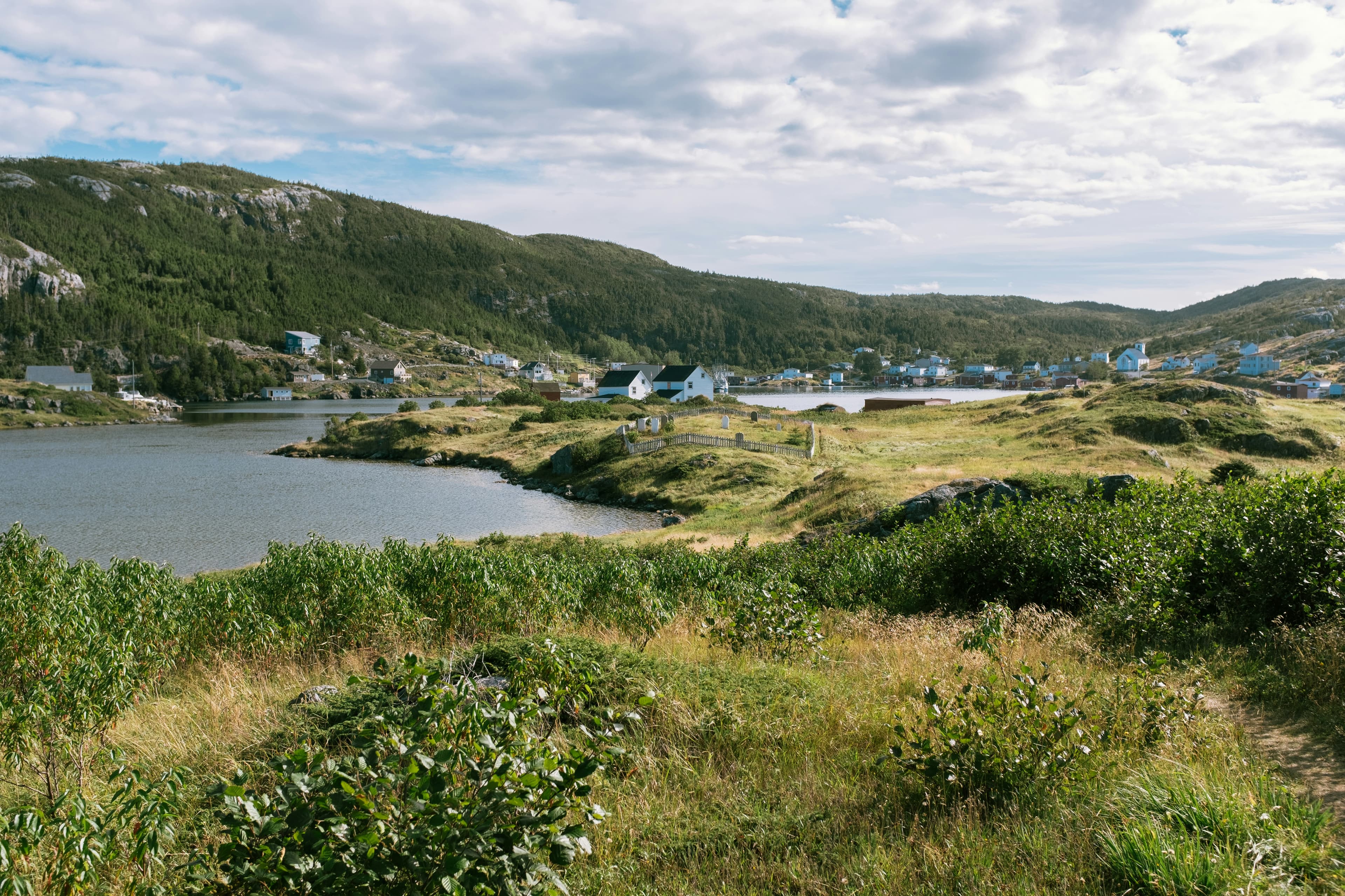 Wilderness from Greenland to the East Coast of Canada