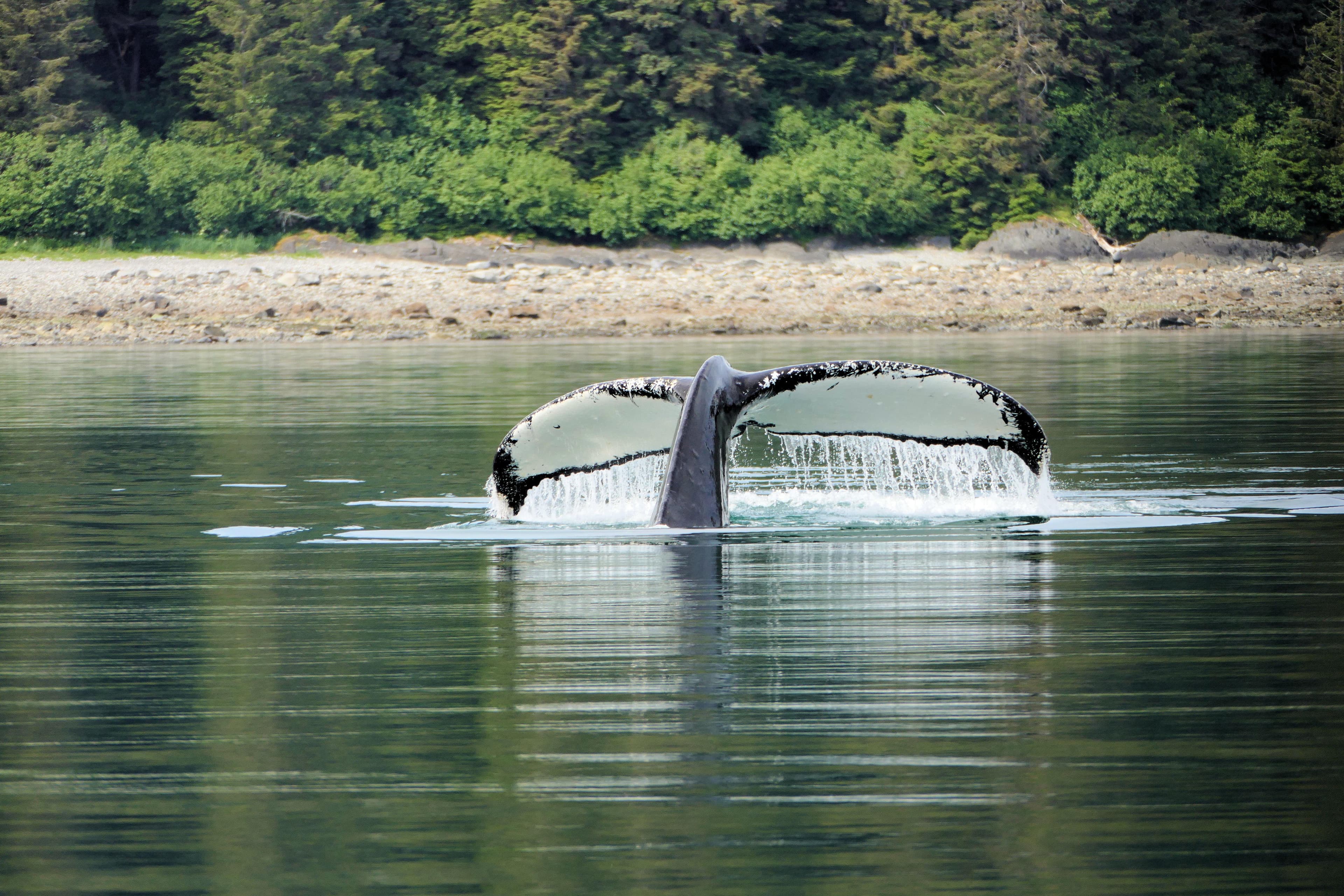 Alaska's Inside Passage
