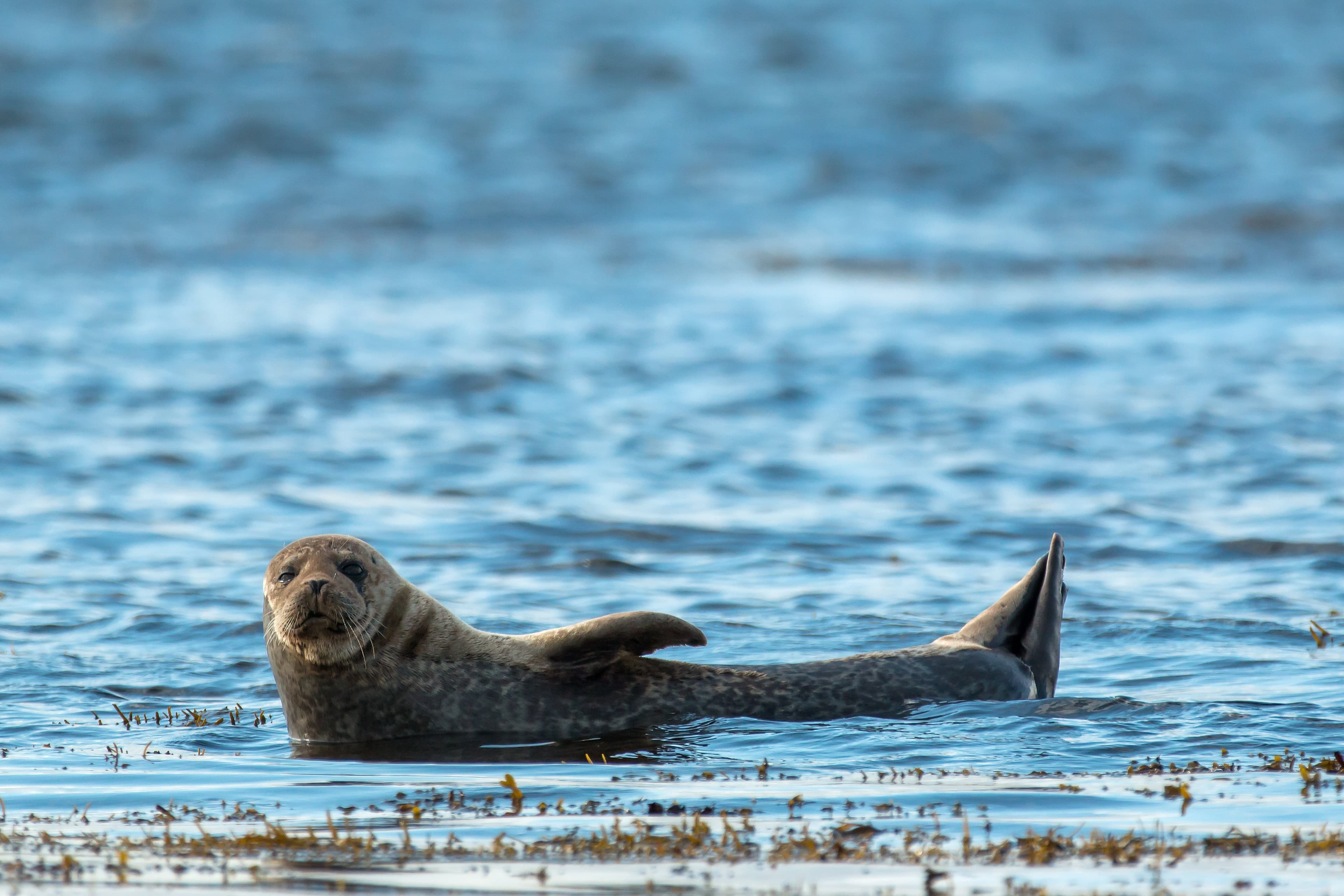 Treasures of the Inside Passage