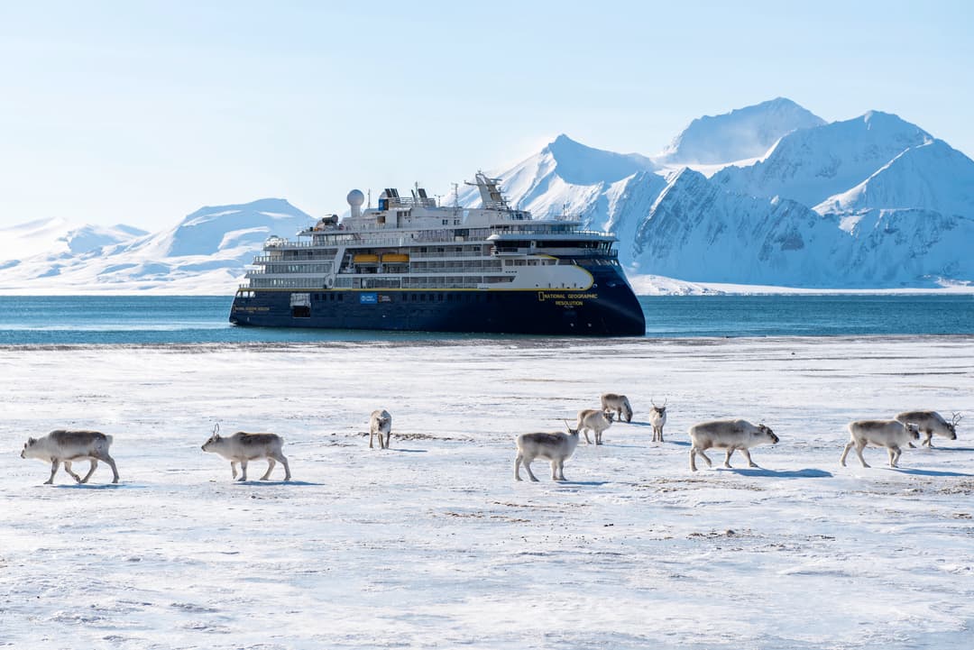 Ng Le Ng Resolution Wildlife ©Lindblad Expeditions Alexandra Daley Clark