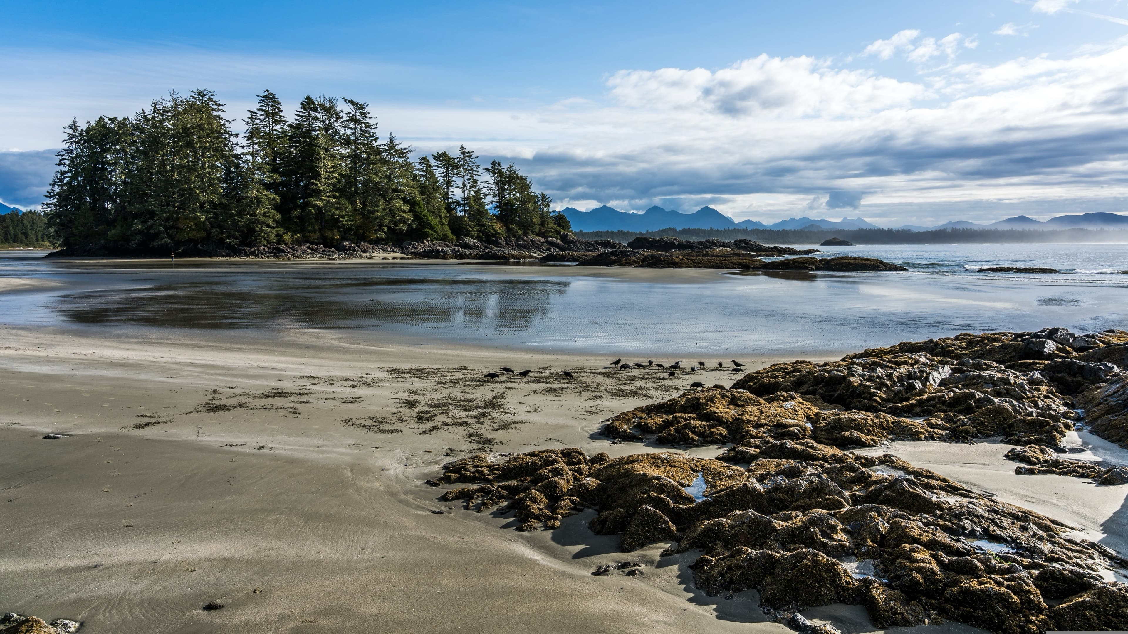 Treasures of the Inside Passage