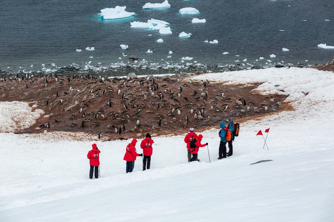 Poesidon Expeditions, Mv Sea Spirit, Hiking 5 @Makhorov