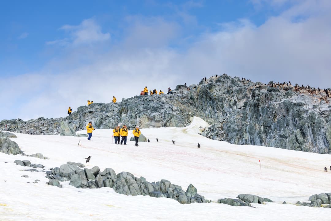 Quark Expeditions, Hiking In Antarctica 1 ©Michelle Sole
