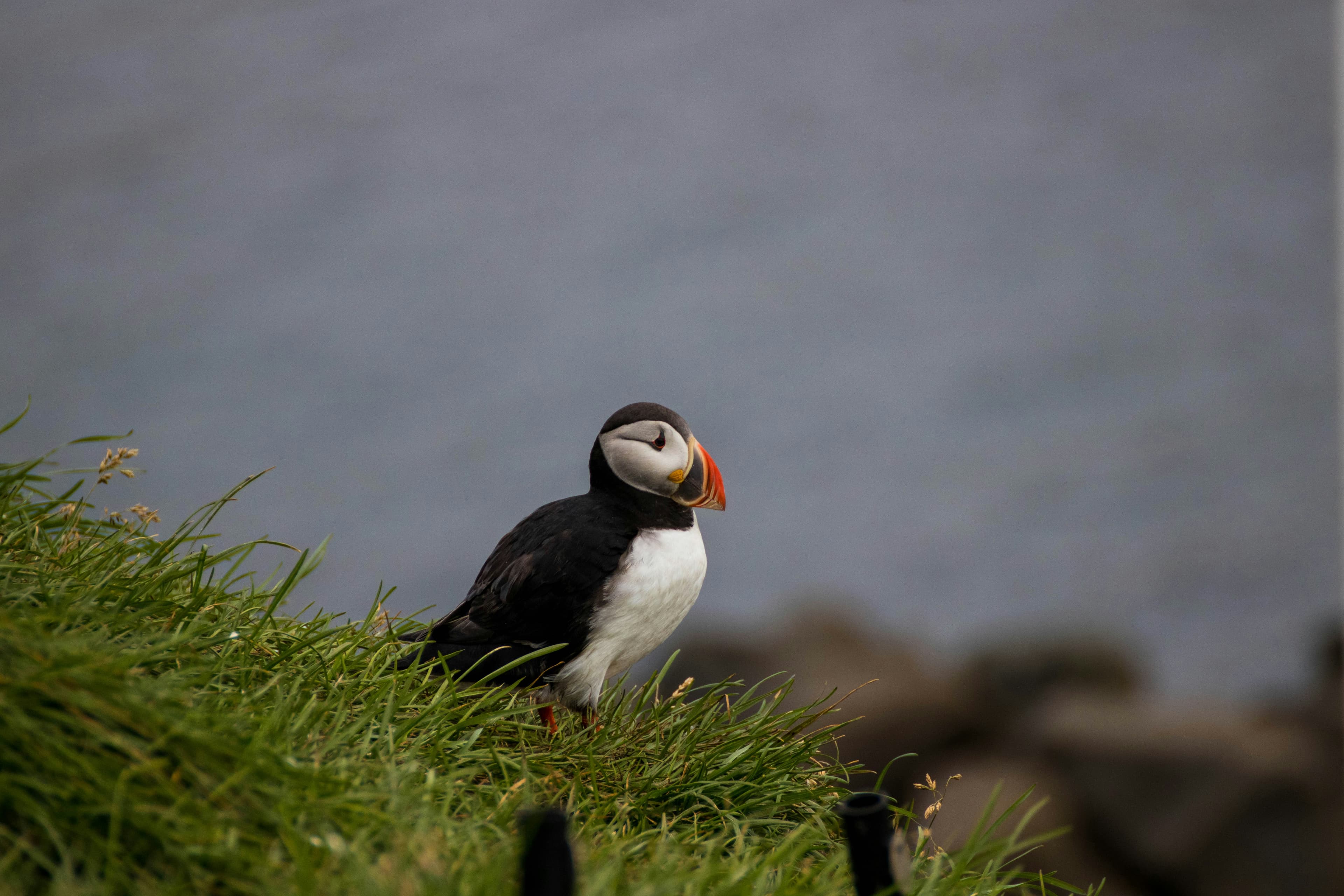 Iceland’s Fire & Ice Circumnavigation