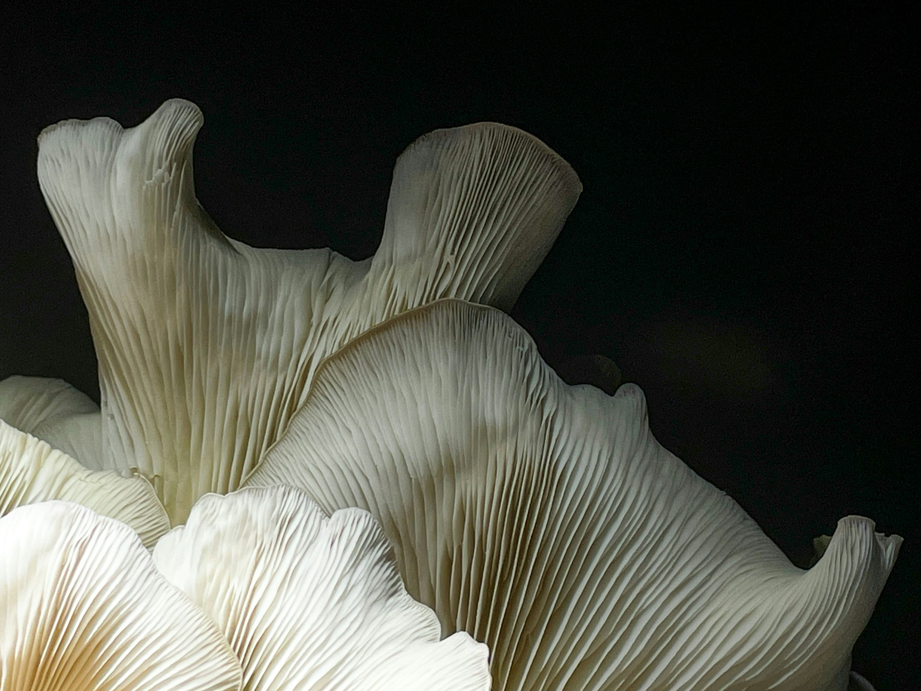 A Voyage Along the Great Lakes – with Smithsonian Journeys