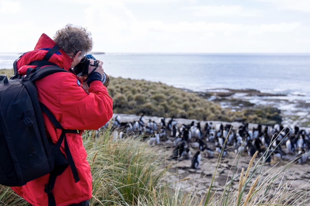 Penguin Lifestyle Photography Excursion ©Poseidon Expeditions, Piet Van Den Bemd