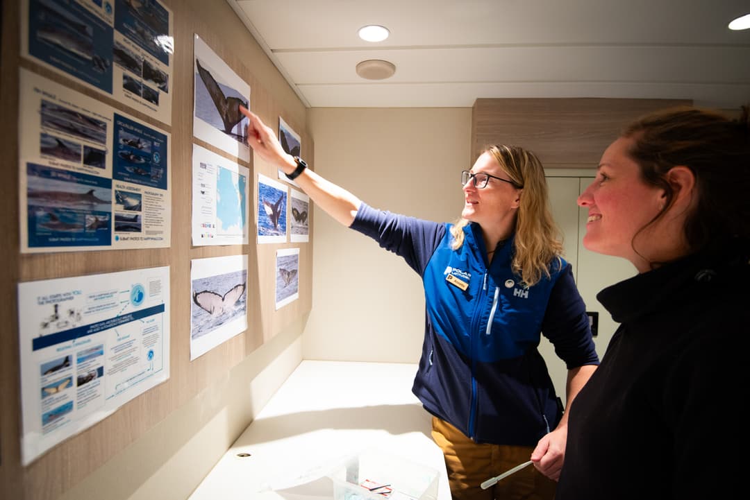 Polar Latitudes Expeditions Citizen Science 3.jpg