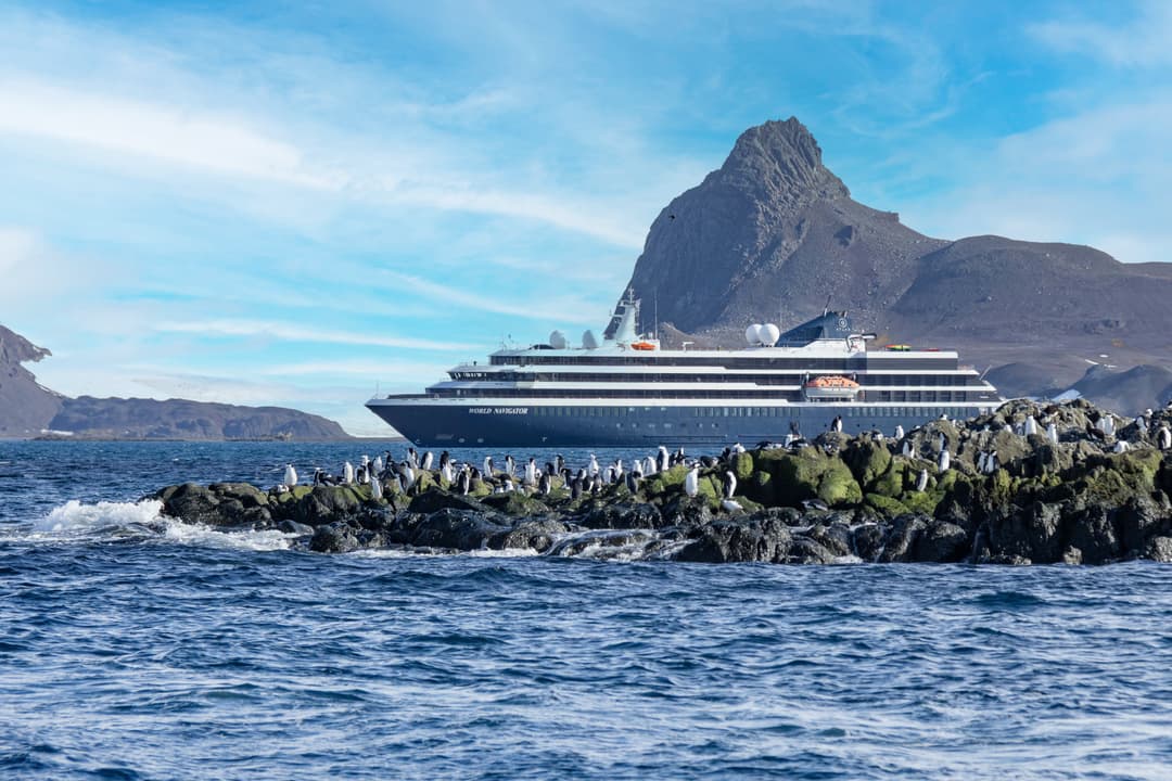 Atlas Ocean Voyages World Navigator Penguins Exterior 2 ©Atlas Ocean Voyages