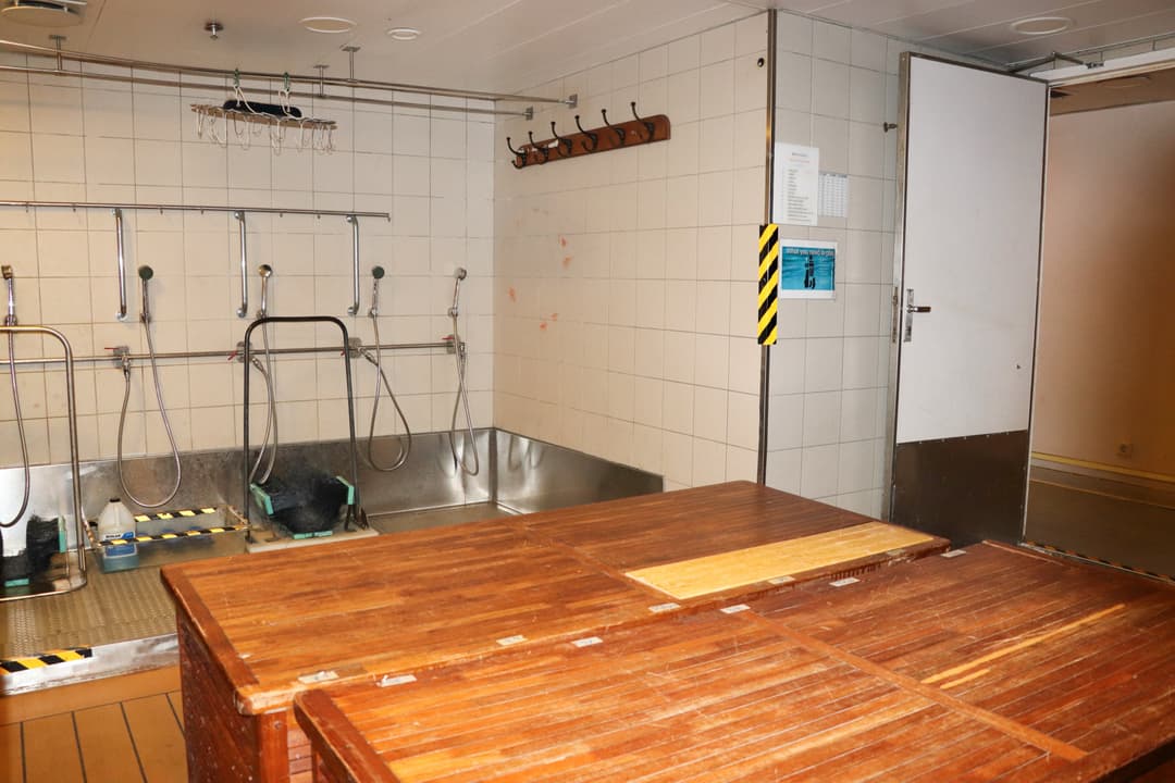 Polar Latitudes Expeditions Mv Discoverer Mudroom 2