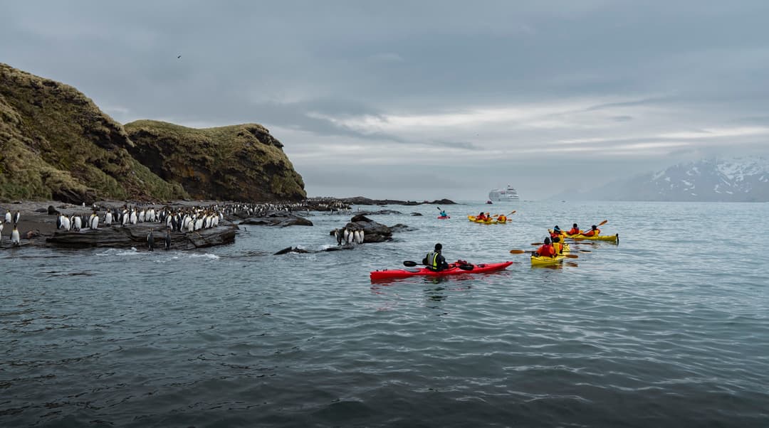 Silversea Cruises Silver Cloud Kayaking In Antarctica ©Silversea Cruises Ltd