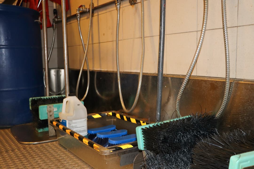 Polar Latitudes Expeditions Mv Discoverer Mud Room 2