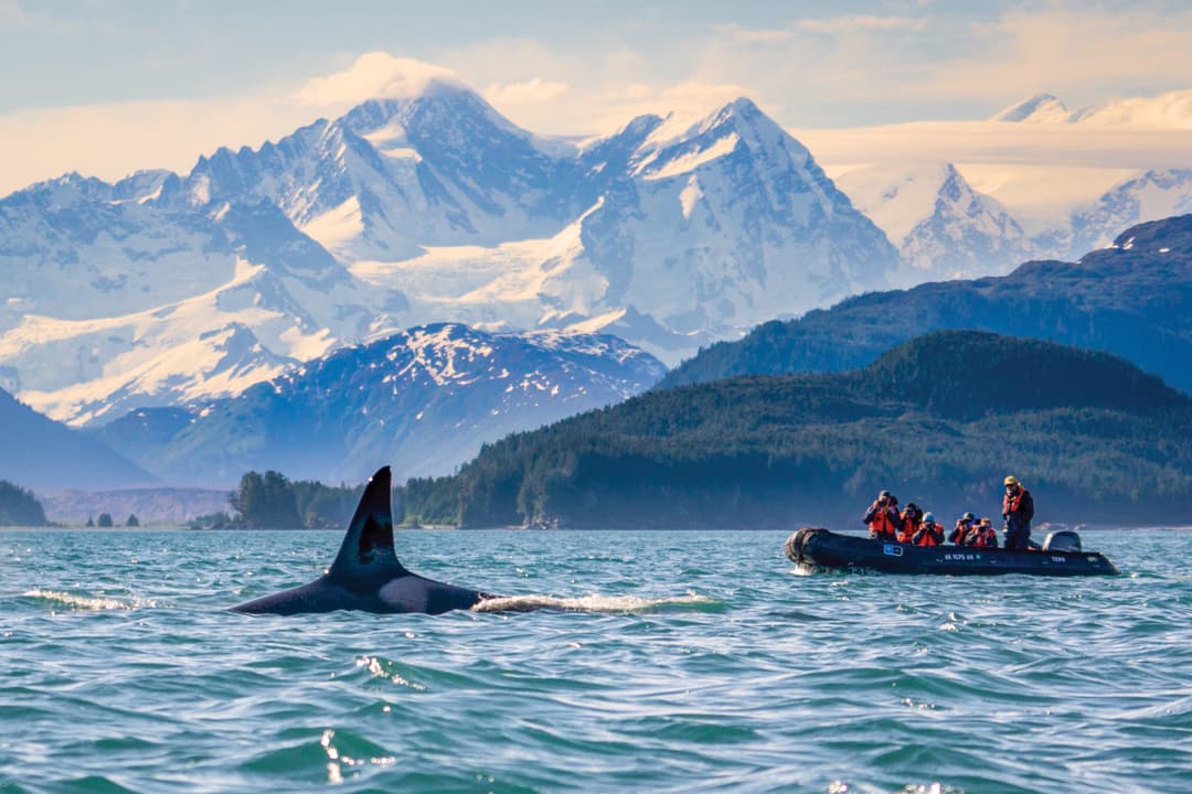 Ng Le Zodiac In Alaska ©Evan Thornton & Lindblad Expeditions
