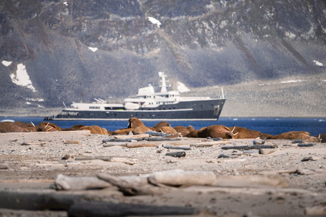 Aqua Lares Exterior Arctic ©Aqua Expeditions 2