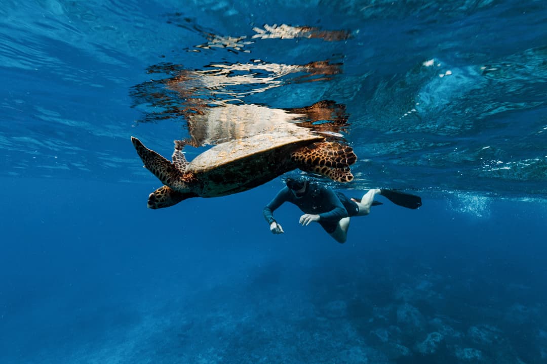 Aqua Lares Snorkeling ©Aqua Expeditions 4