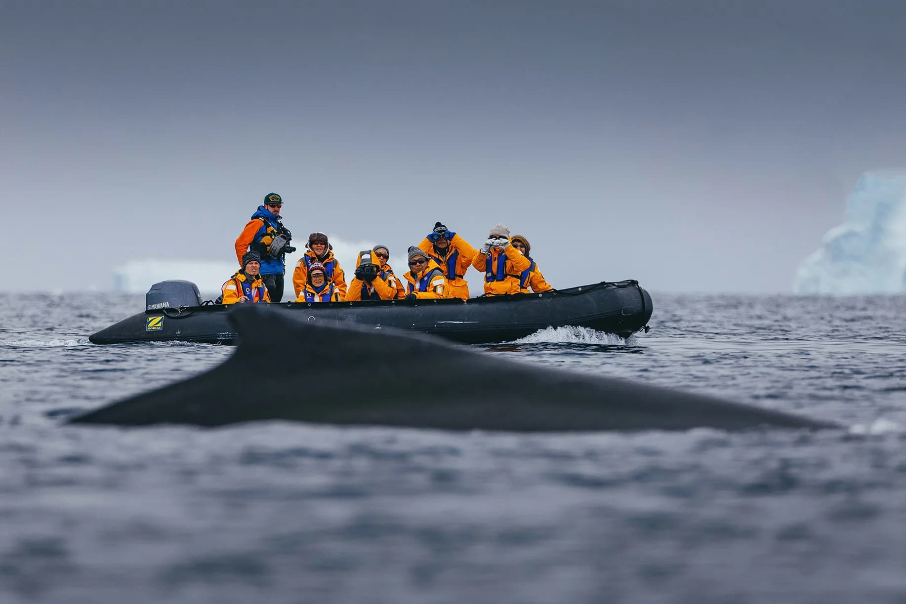Antarctic Explorer: Discovering the 7th Continent