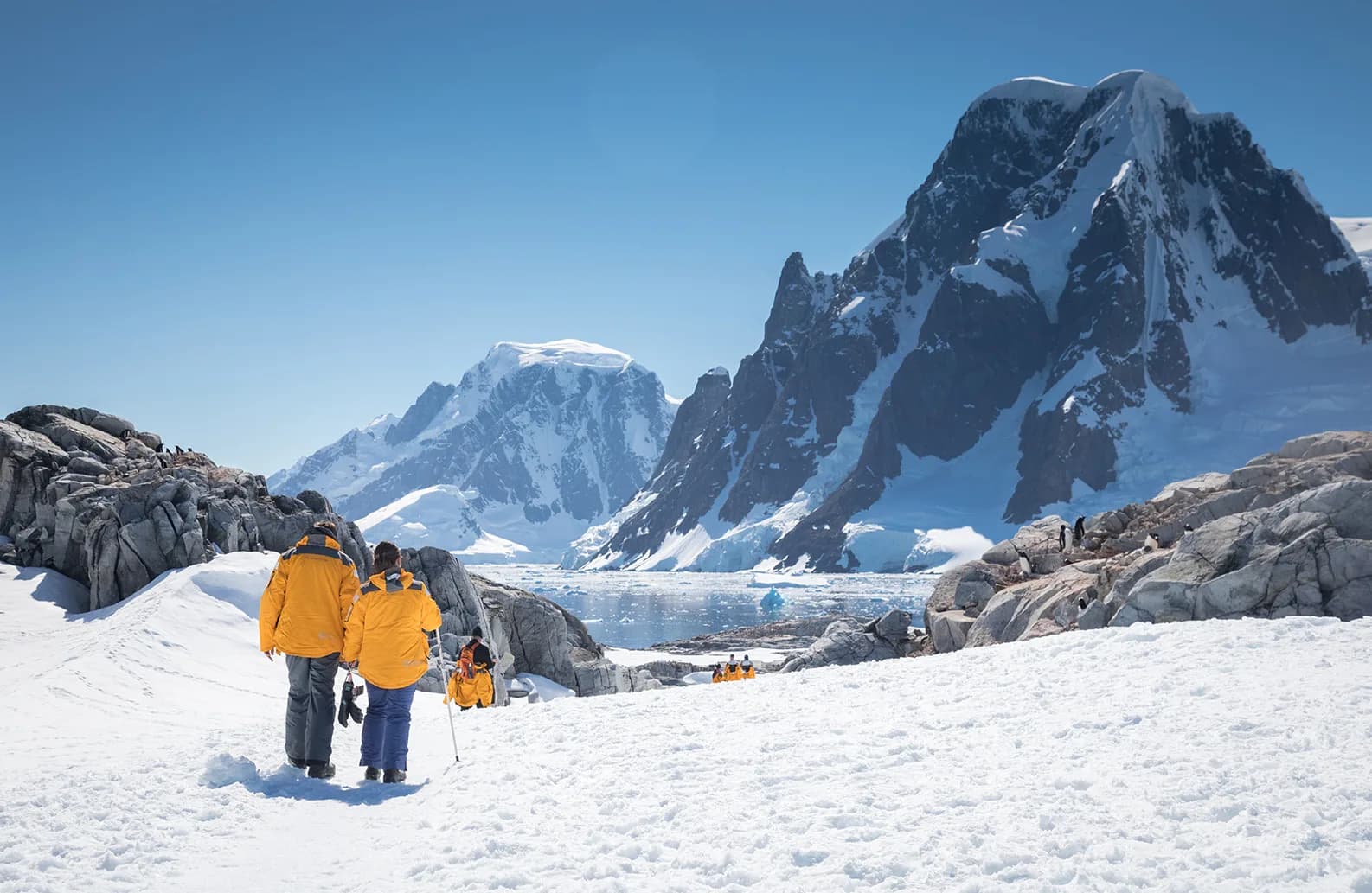 Antarctic Explorer: Discovering the 7th Continent