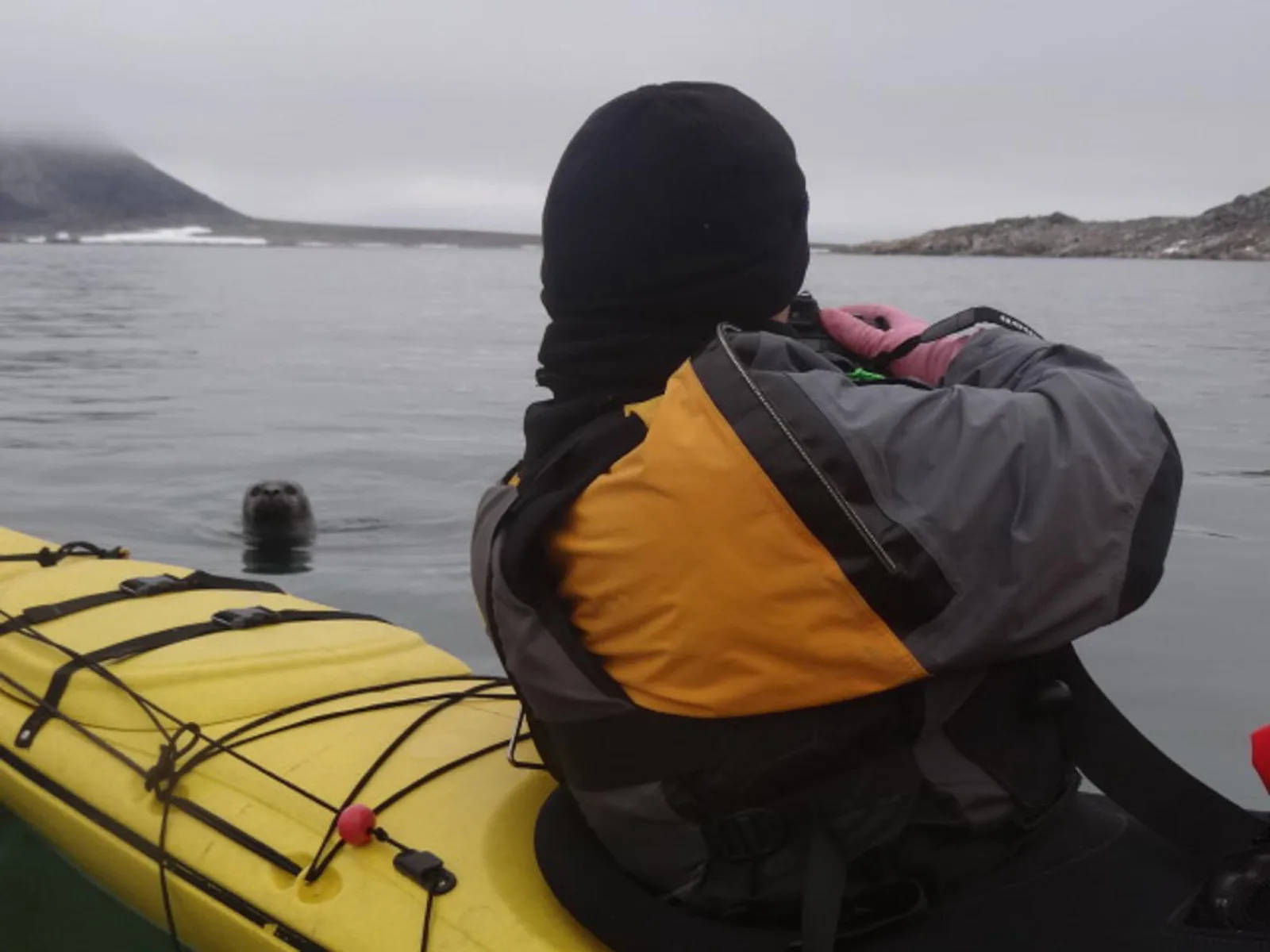 Three Arctic Islands: Iceland, Greenland, Spitsbergen