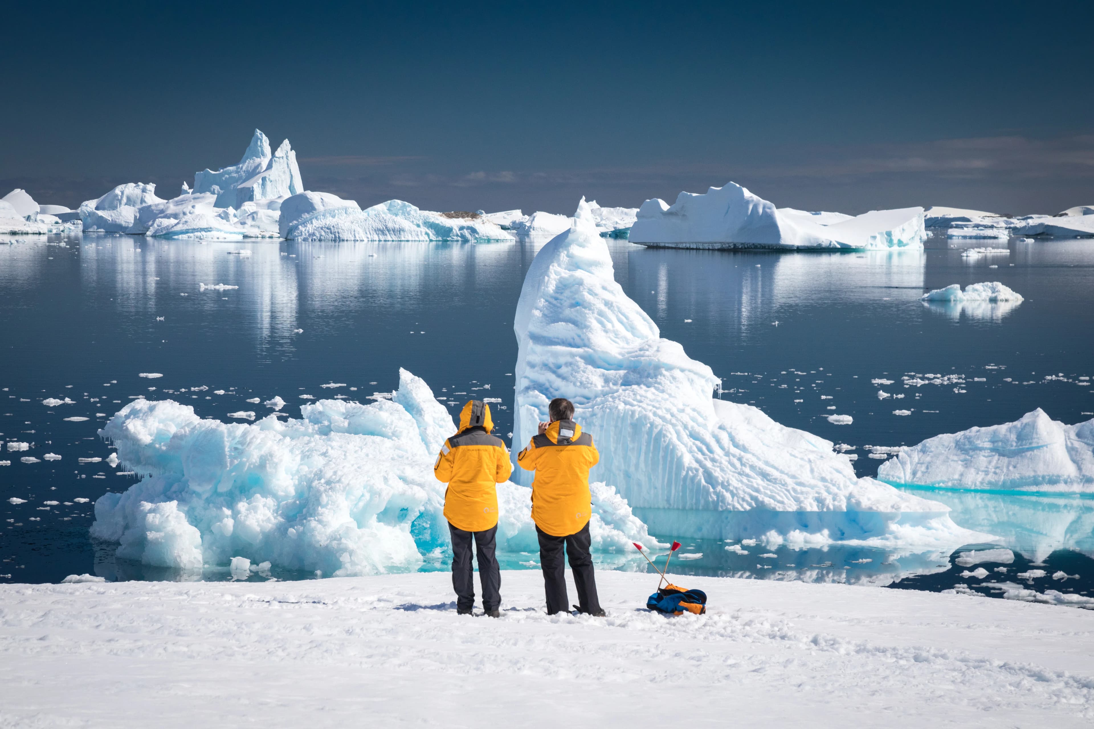 Antarctic Express: Fly the Drake