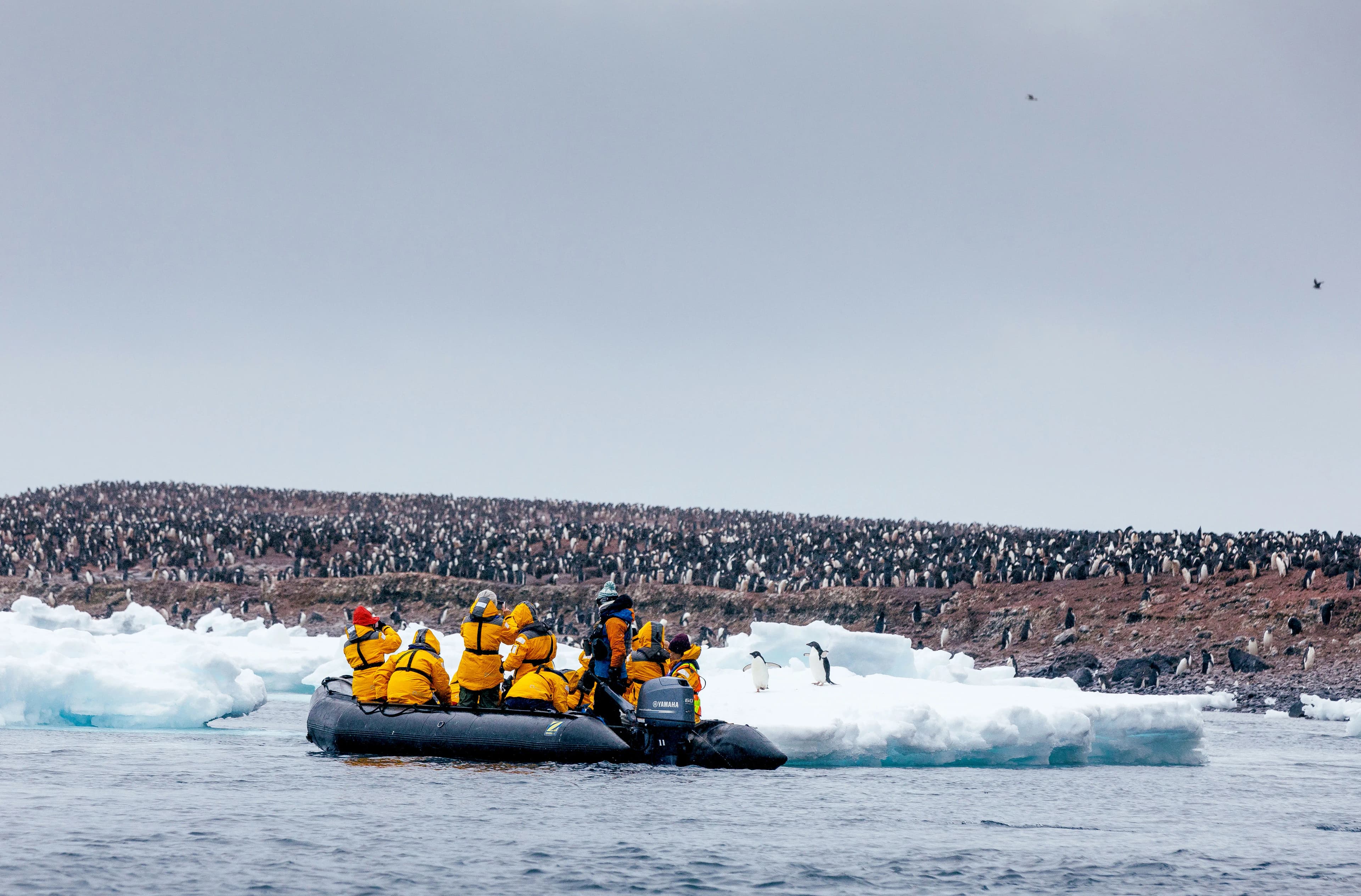 Snow Hill to the Peninsula: Shackleton's Emperors