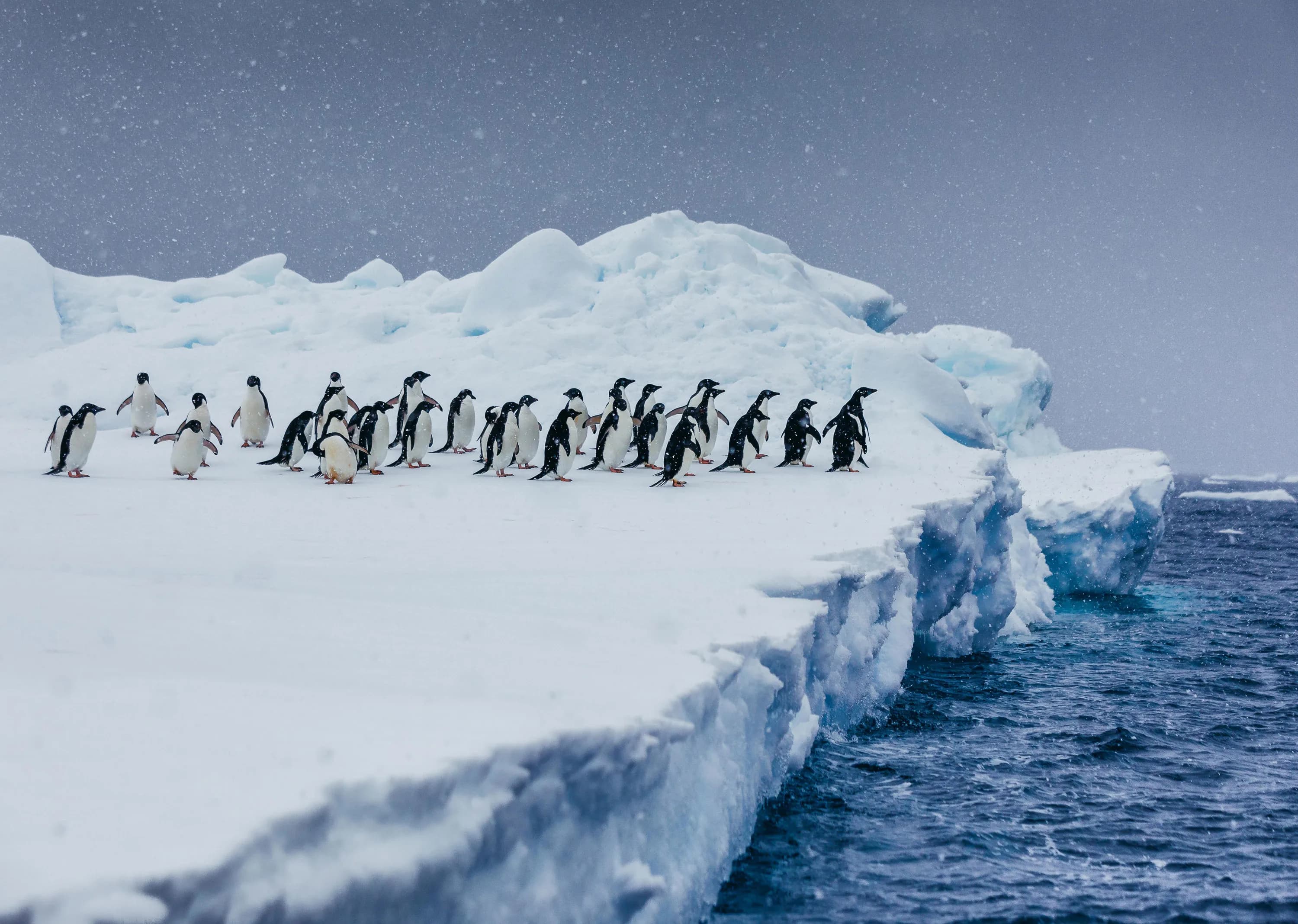 Antarctica By Helicopter: Icebergs, Mountains and Remote Lands