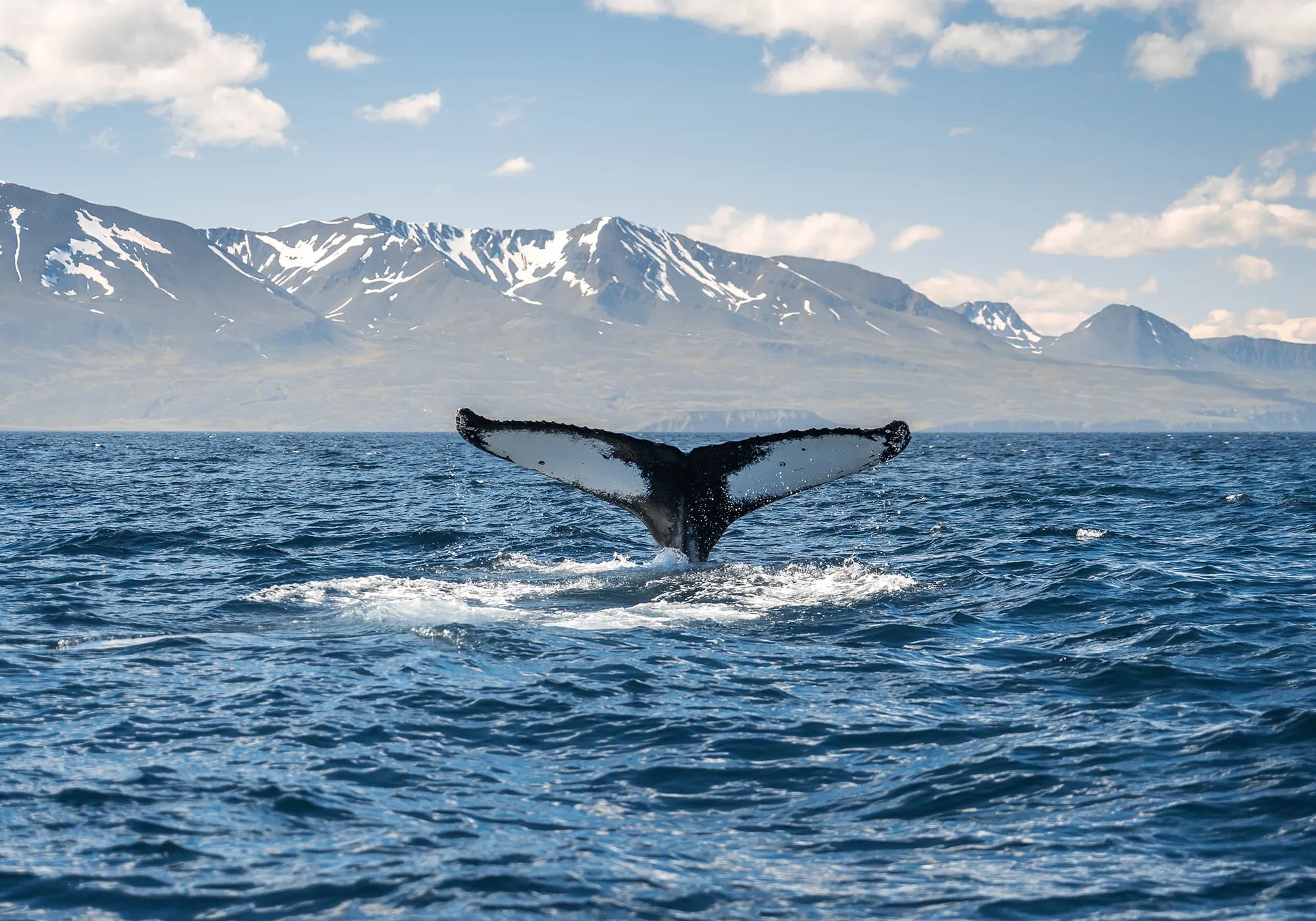 Iceland Circumnavigation: Helicopters, Glaciers and Volcanoes