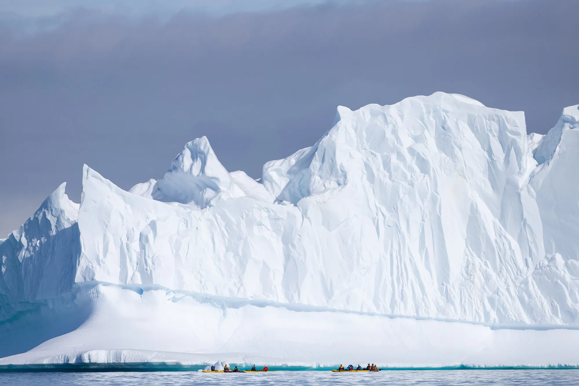 Antarctic Marine Mammals: The World of Whales and Seals