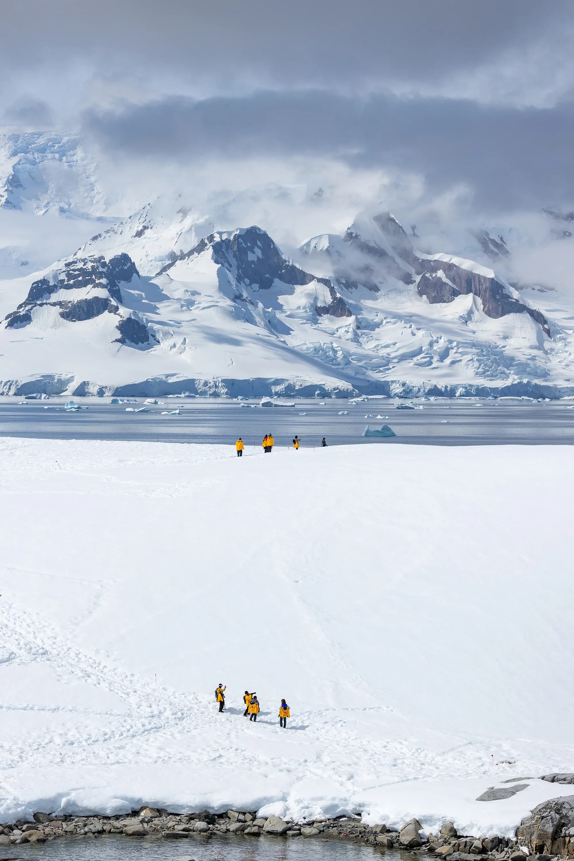 Antarctic Marine Mammals: The World of Whales and Seals