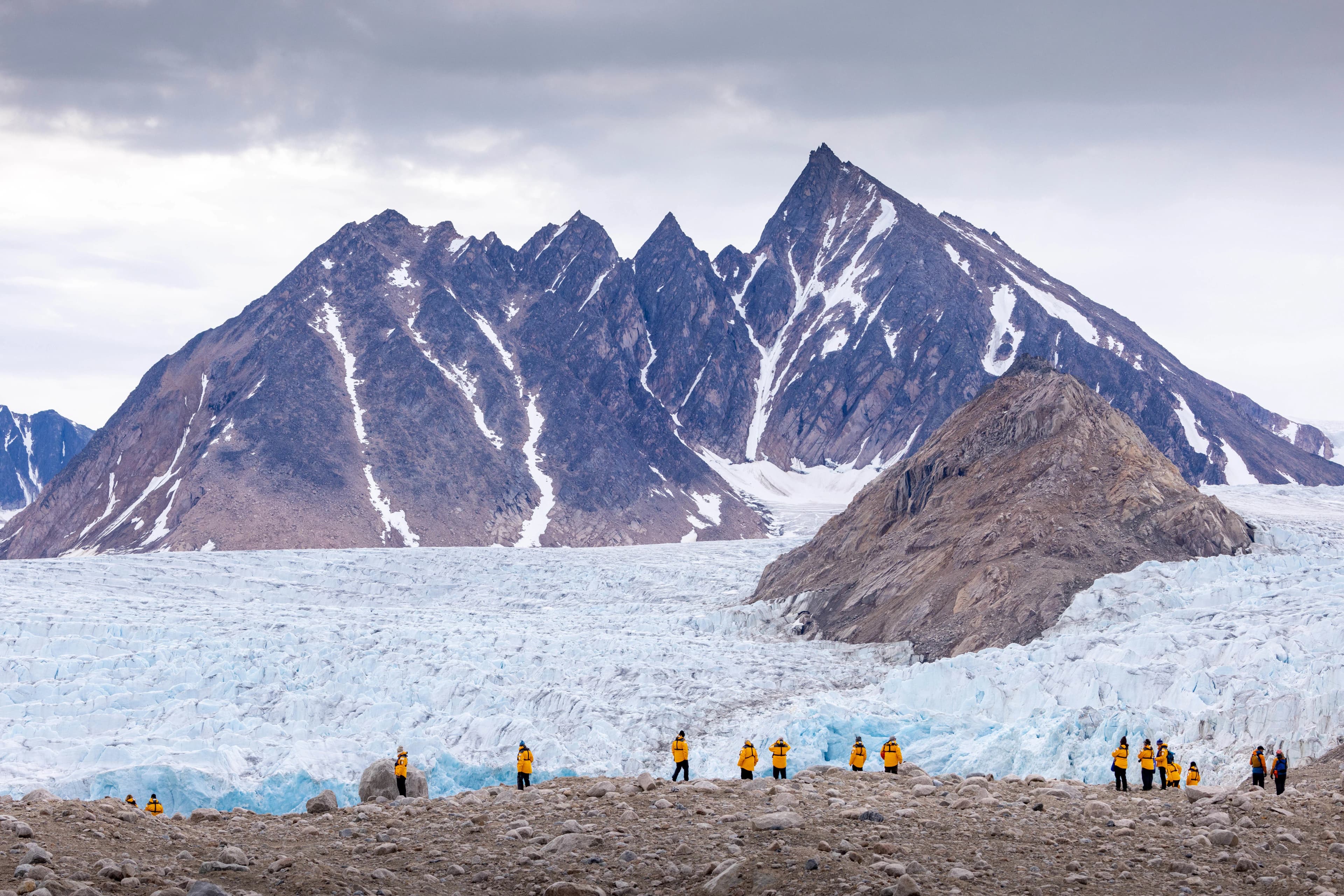 Svalbard in Summer: Tundra, Whales and Wildlife