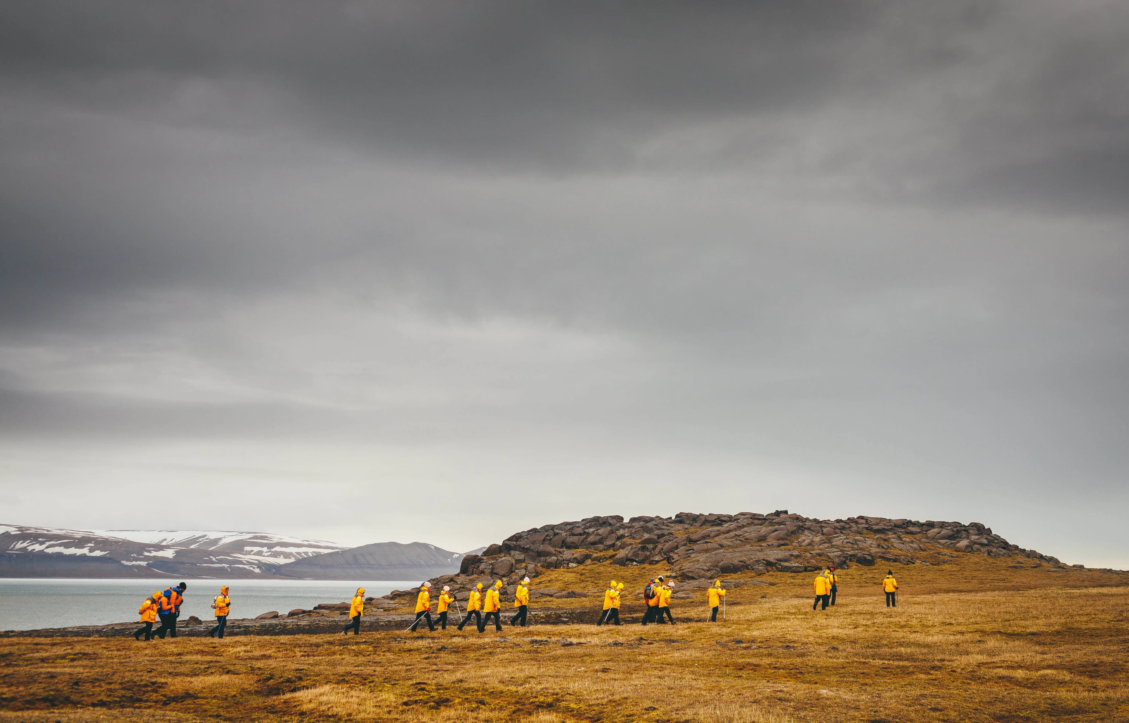 Svalbard in Summer: Tundra, Whales and Wildlife