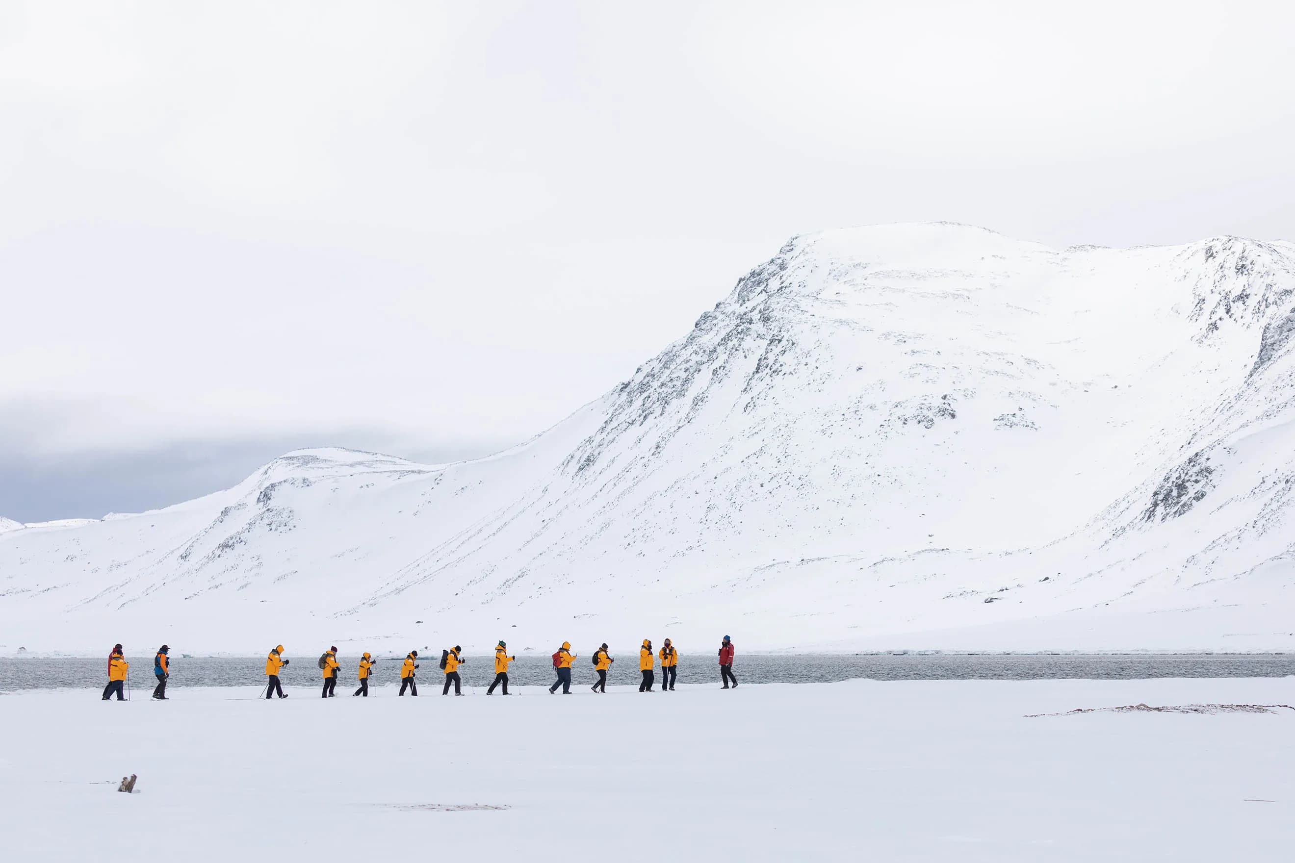 Scotland to Spitsbergen: Puffins, Sea Ice and Wildlife