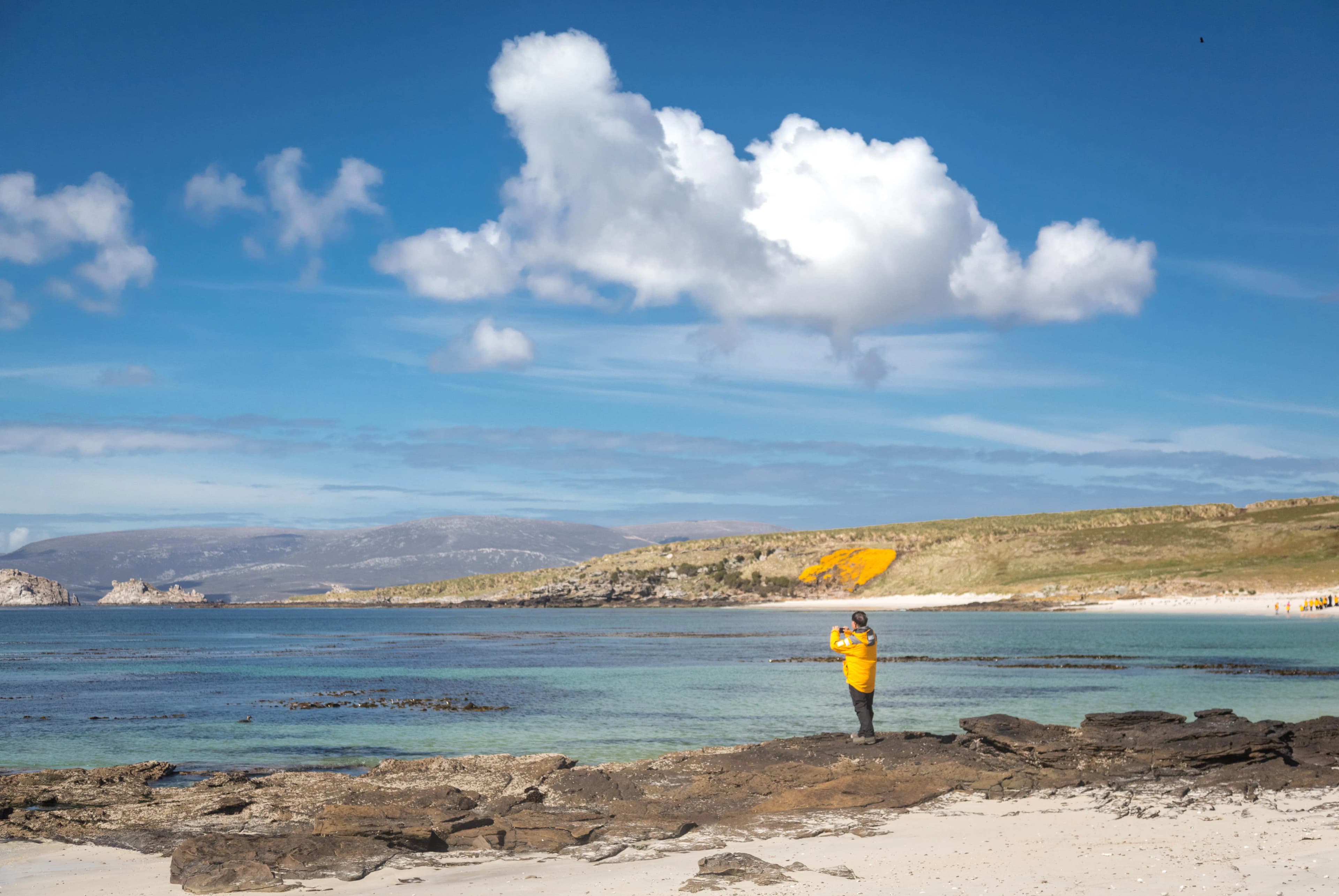 Falkland Islands and South Georgia: 20-Day Wildlife Adventure