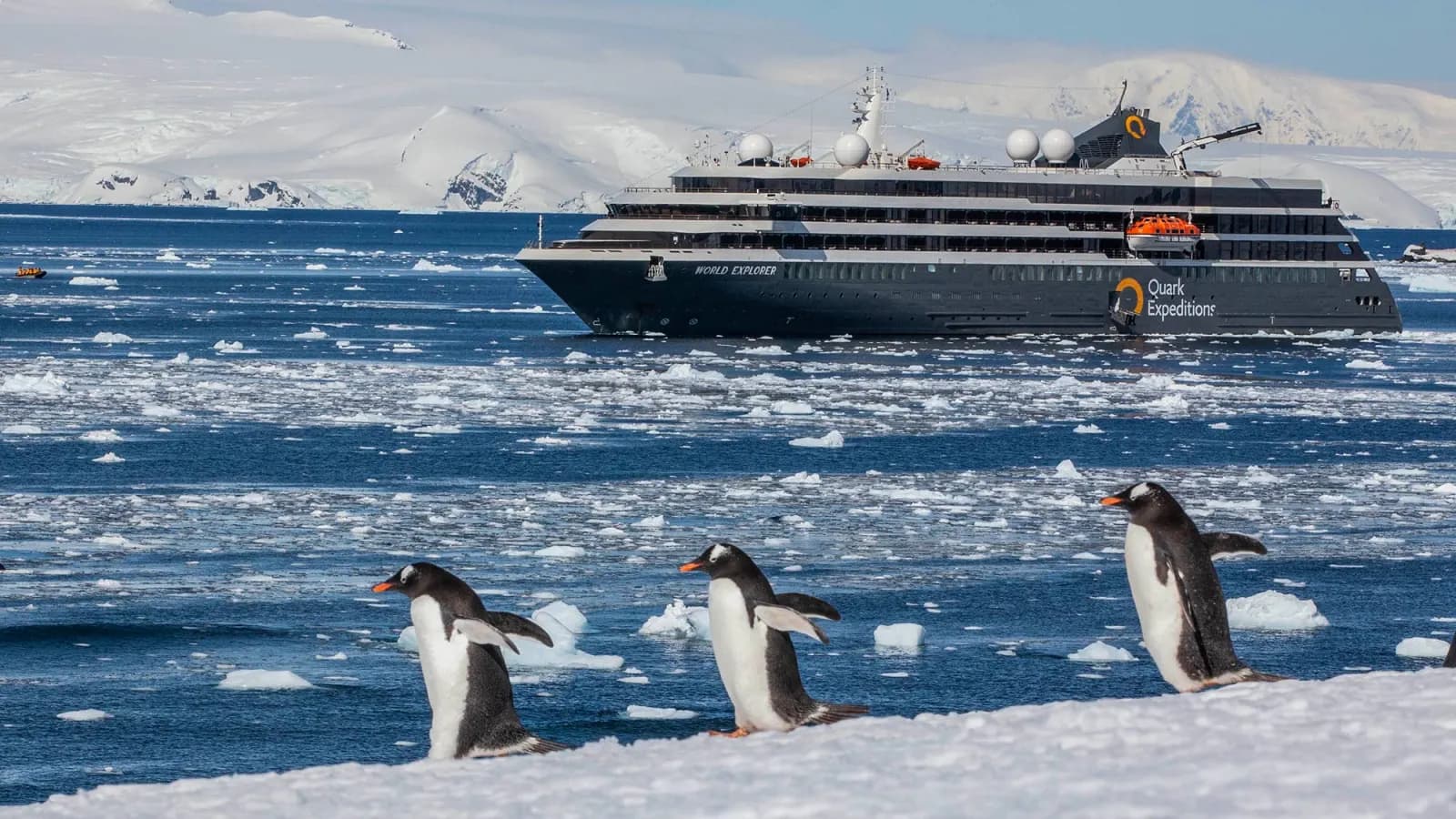 Antarctic Express: Sail South, Fly North