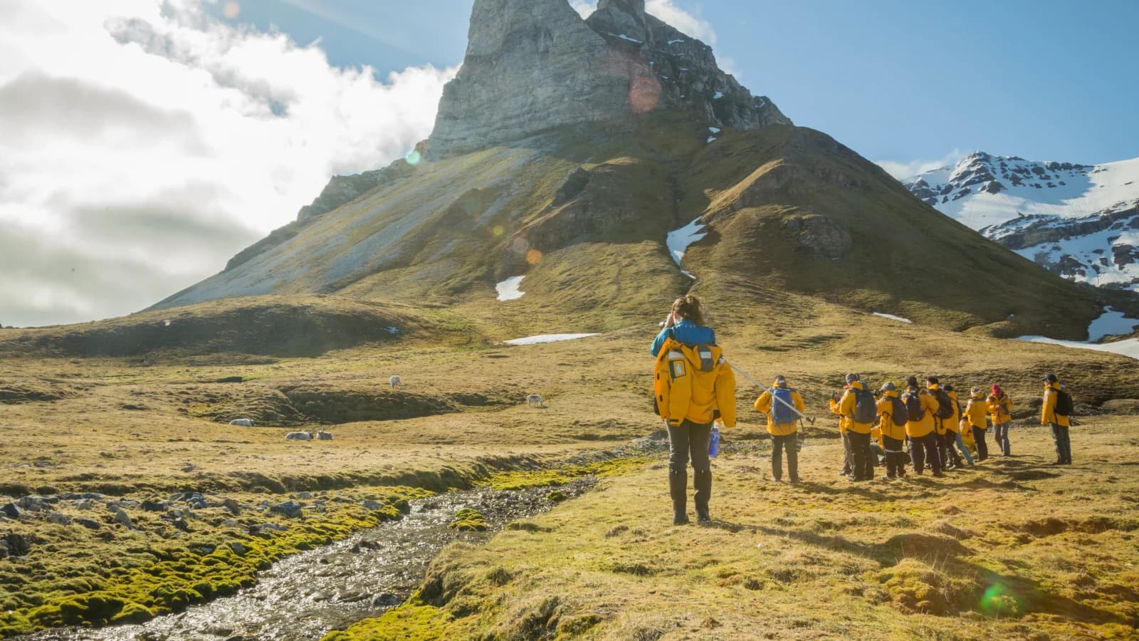 Svalbard in Summer: Tundra, Whales and Wildlife