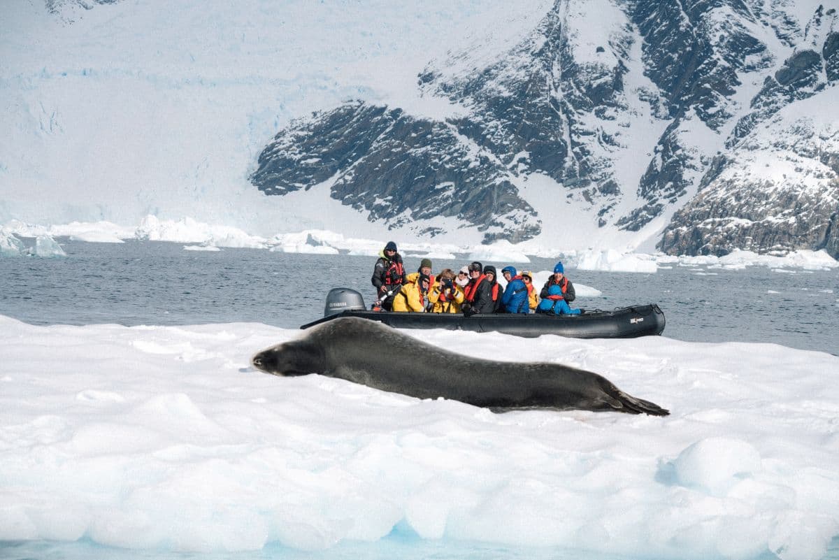 Classic Antarctica onboard Terra Nova Adventurer