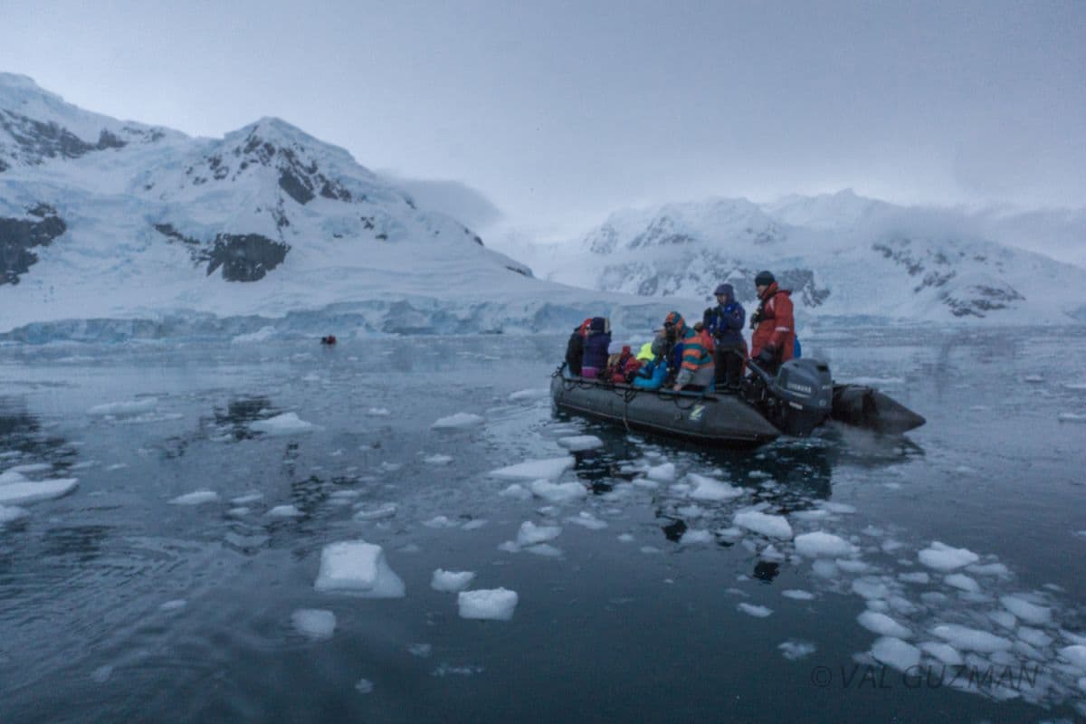 Echoes of the Deep - Whale Voyage aboard Terra Nova Adventurer